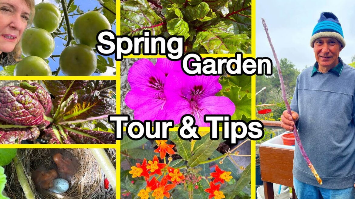 Garden Tour Growing a FULL Vegetable Garden 🍅Cheap Methods Container Gardening Tomatoes Peppers MORE