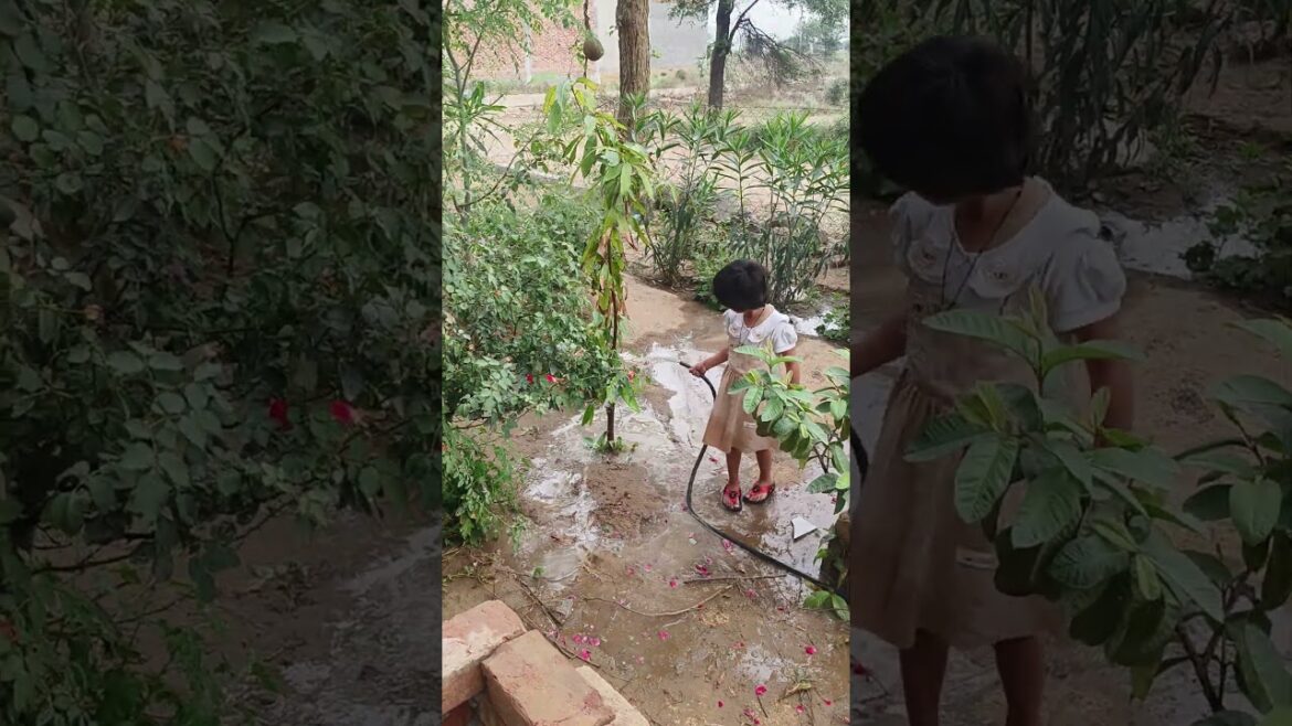garden me Pani supply#gardening #water #plantcaretips #naturelovers #farming #loveplants #treanding