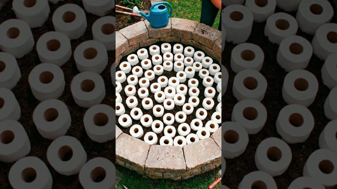 The Toilet Paper Roll Gardening Hack That Actually Works 🌷