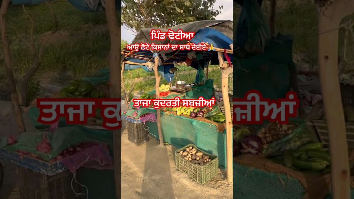 ਕੁਦਰਤੀ ਸਬਜ਼ੀਆਂ ਆਉ ਛੋਟੇ ਕਿਸਾਨਾਂ ਦਾ ਸਾਥ ਦੇਈਏ organic vegetable 🥔🥒@AmarjitSingh-o2w #farming #viral