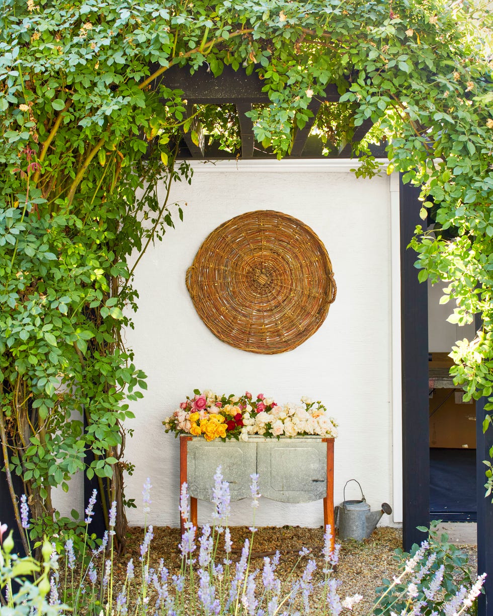 lush colorful roses in a vintage zinc sink against garden wall
