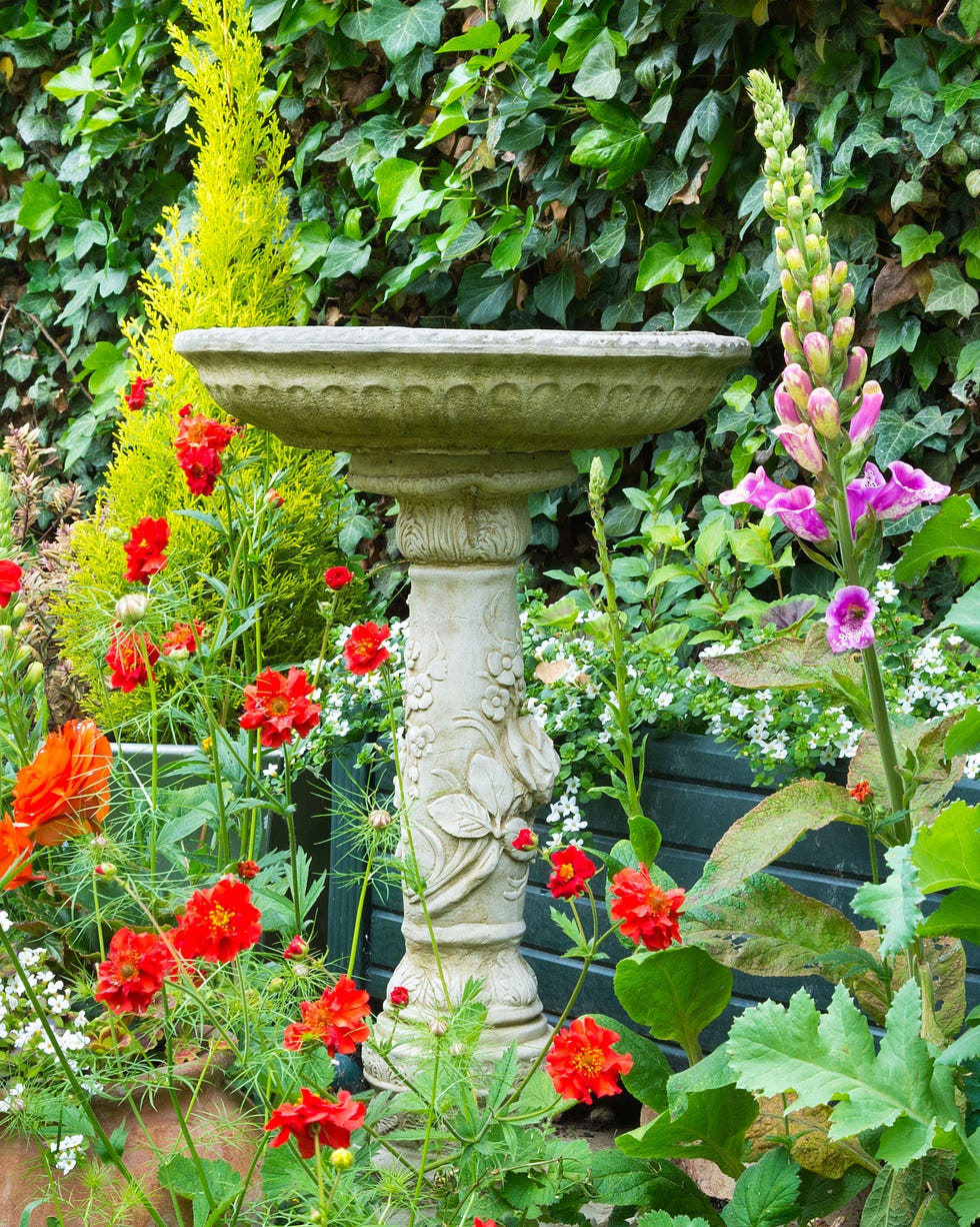Summer bedding flowers with decorative stone bird bath