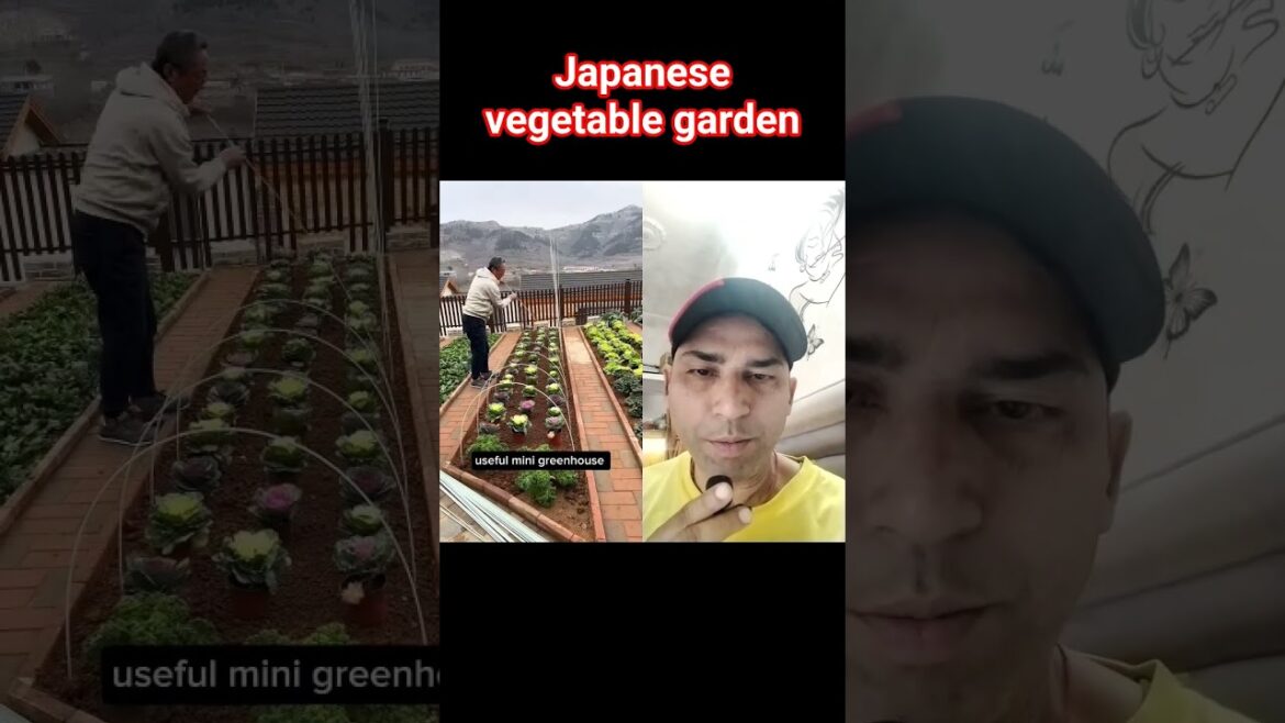 japanese vegetable garden. #farming #gardentrick #terracegardenindia #gardentips #gardening #facts
