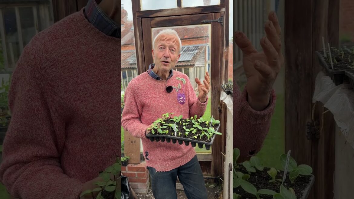 Propagation: 3 Tips That Make a Difference