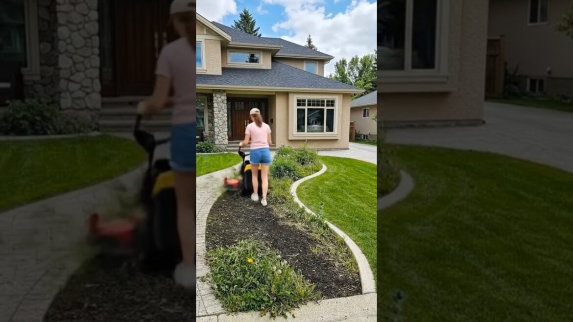 Most Beautiful Garden Bed Makeover in Front Yard #shorts #landscape #garden #transformation