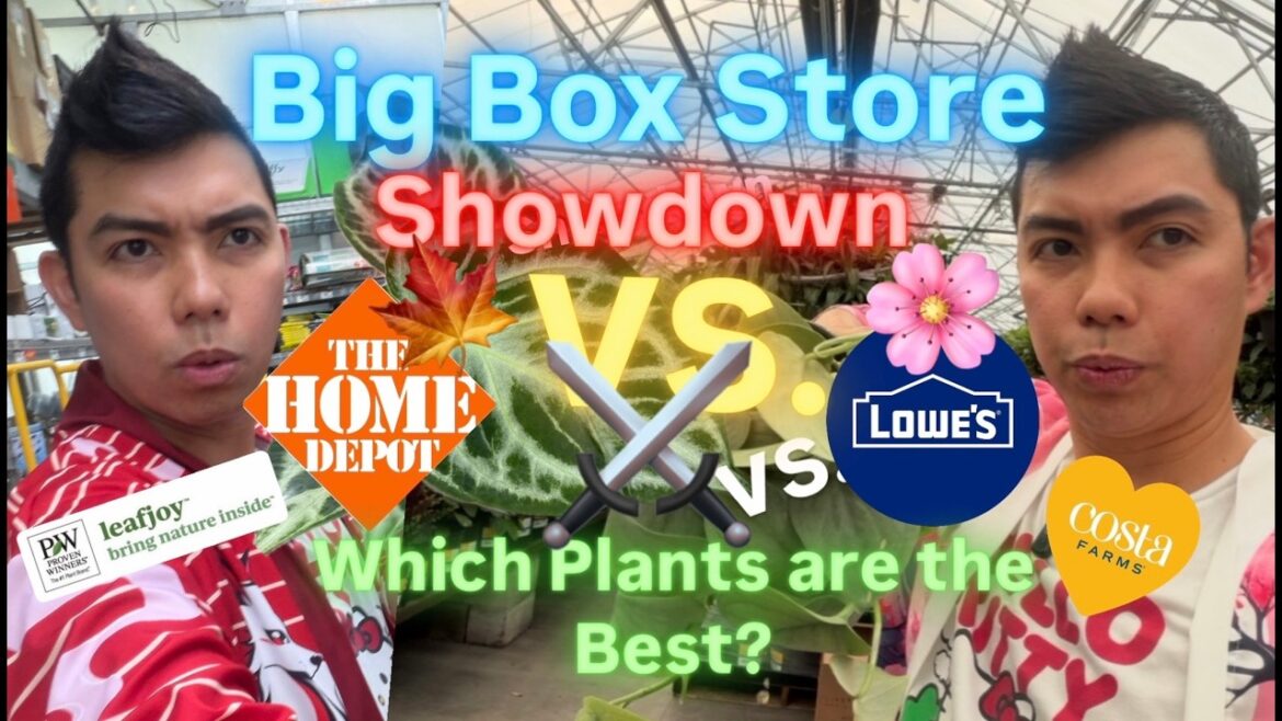 HOME DEPOT vs. LOWE’S and PROVEN WINNERS vs. COSTA FARMS: Which Store Has Better Plants? Buy or Skip HOME DEPOT vs. LOWE’S and PROVEN WINNERS vs. COSTA FARMS: Which Store Has Better Plants? Buy or Skip
