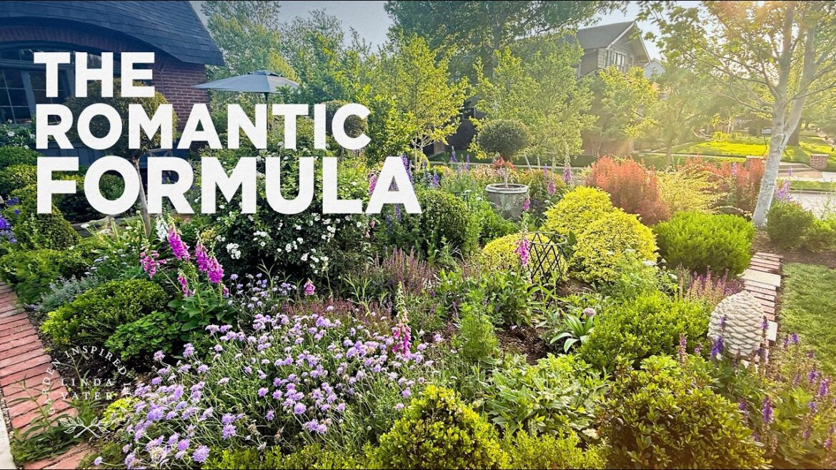 Don’t Plant Anything Until You Know These 5 Categories✨| Linda Vater 🌿 Don't Plant Anything Until You Know These 5 Categories✨| Linda Vater 🌿