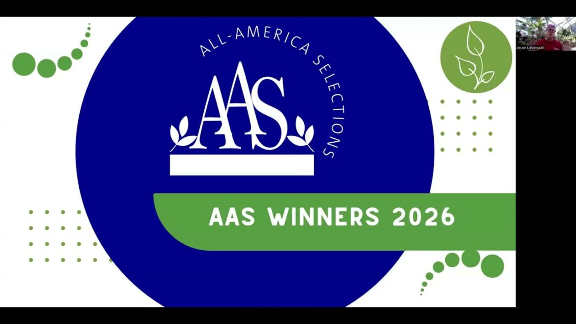 Discover the 2026 All-America Selections (AAS) Winners! Featuring Gold Medal Winners Zinnia and Kale