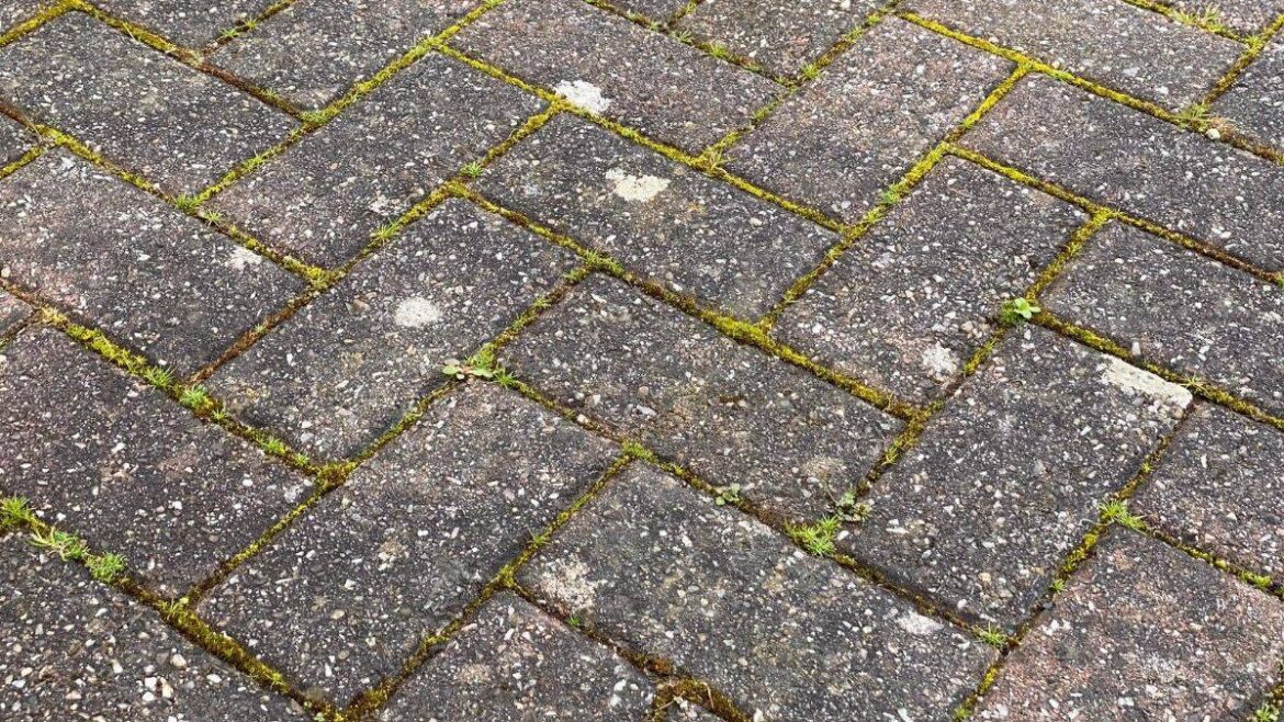 Weeds can be banished from patios with 30p everyday kitchen ingredient Daily Mirror