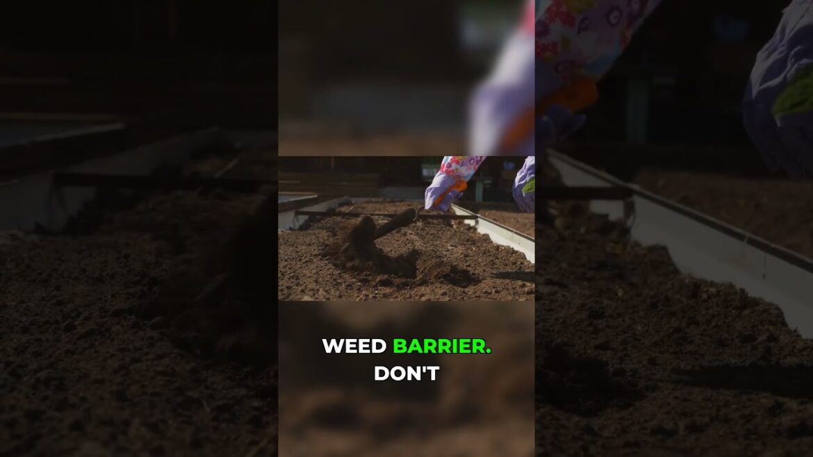 No Dig Mistakes to AVOID! 🚫 Garden Tips #soilhealth #gardening No Dig Mistakes to AVOID! 🚫 Garden Tips #soilhealth #gardening
