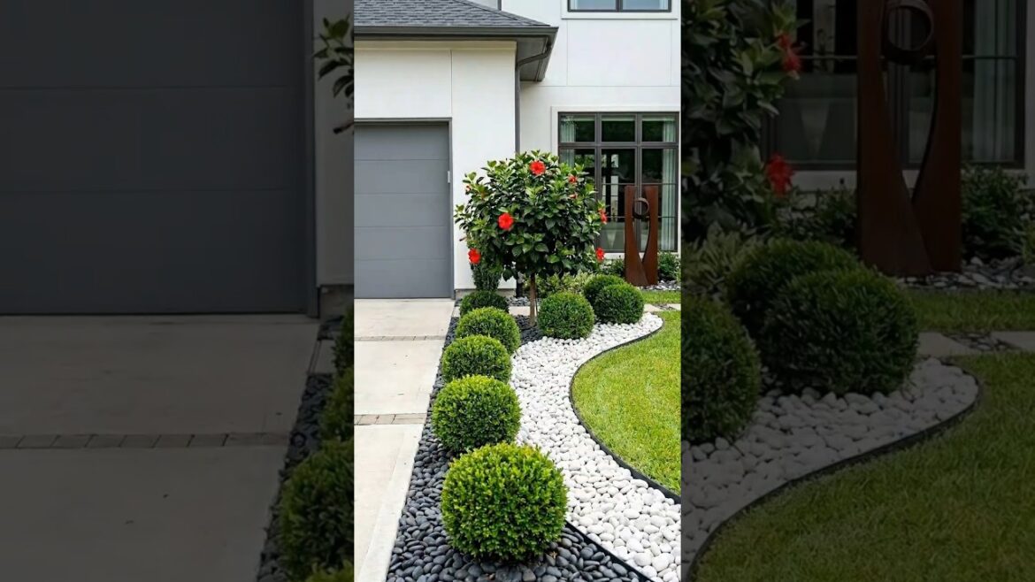 A simple lawn elevModern Front Yard Upgrade 🌿✨#gardeninspiration #landscaping #gardenideas #garden
