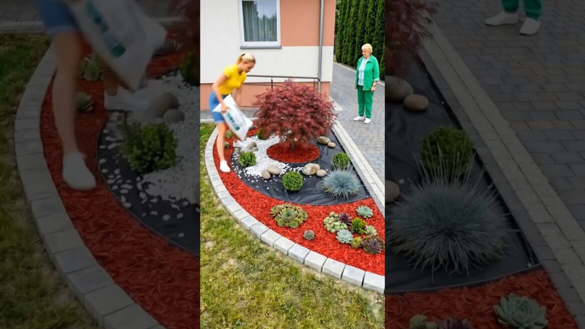 Perfect Garden Setup You Can Copy at Home 🏡💯 Perfect Garden Setup You Can Copy at Home 🏡💯