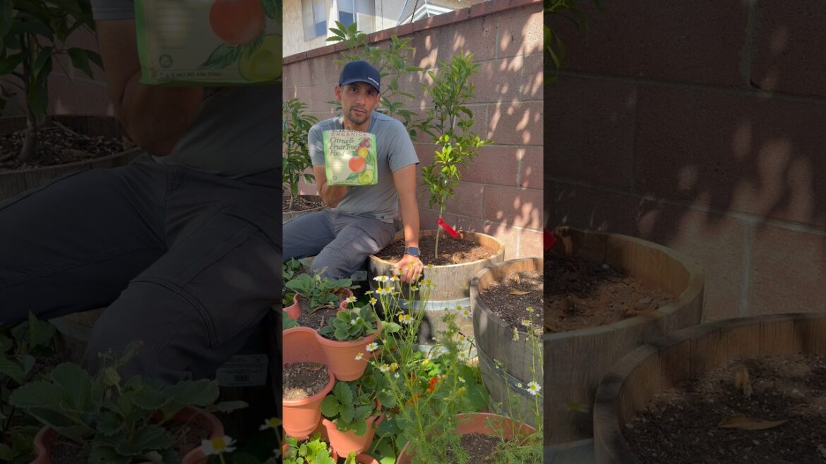 Your container tree can’t search for nutrients… you have to bring them.
