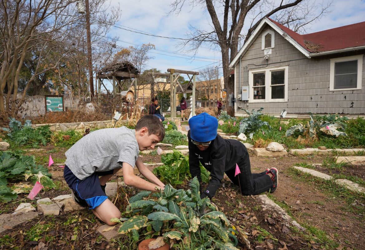 Austin urban gardening ranking: How the city compares in 2026