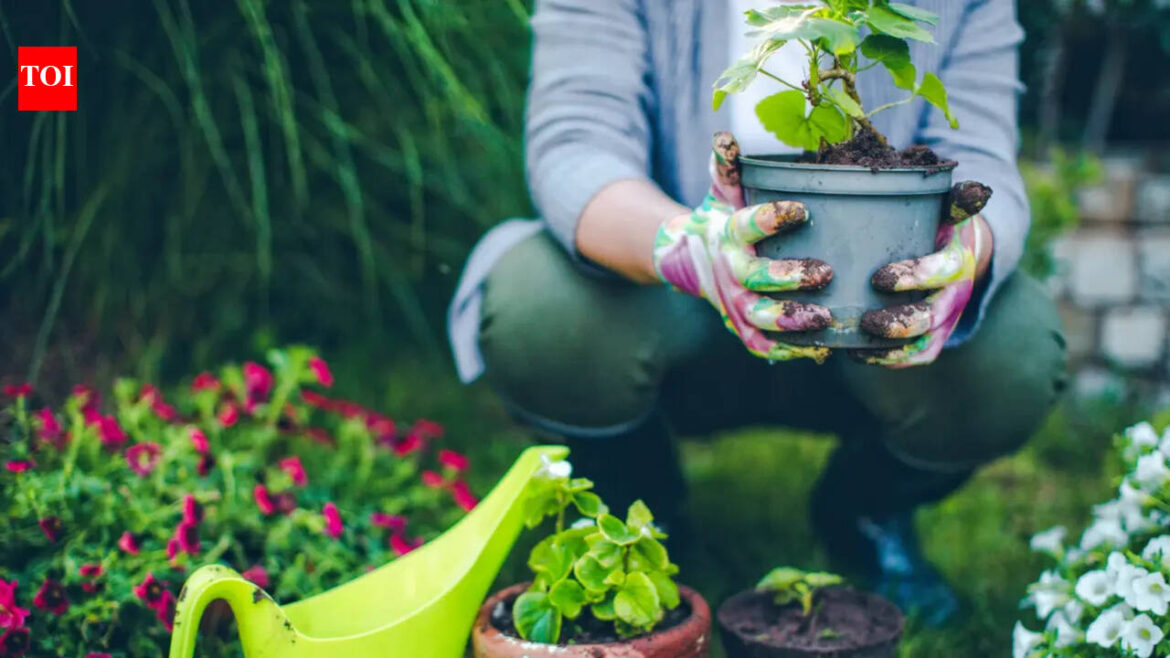 Spring Gardening Tips: UK gardener of 30 years talks about the biggest mistake in spring gardening |