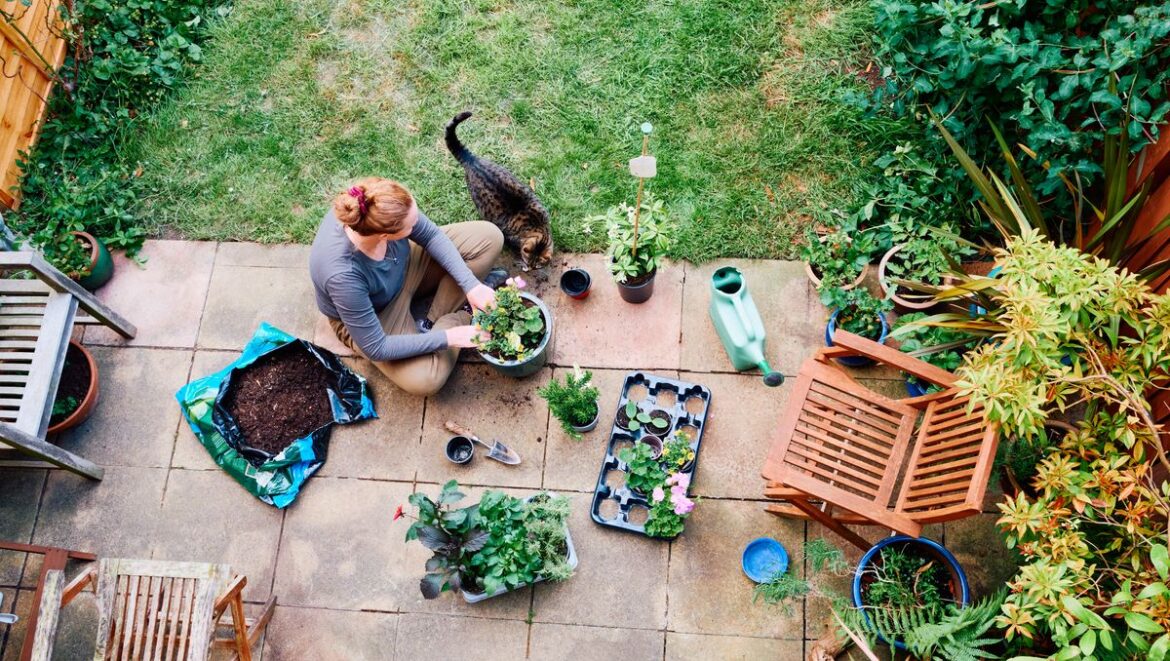 The simple ‘keyhole’ gardening method to grow food with less effort Daily Record