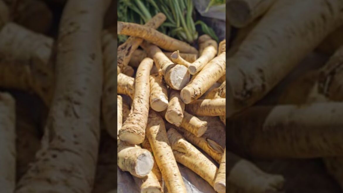 9 Perennial Vegetables That Grow For 20 YEARS Without Replanting! 9 Perennial Vegetables That Grow For 20 YEARS Without Replanting!