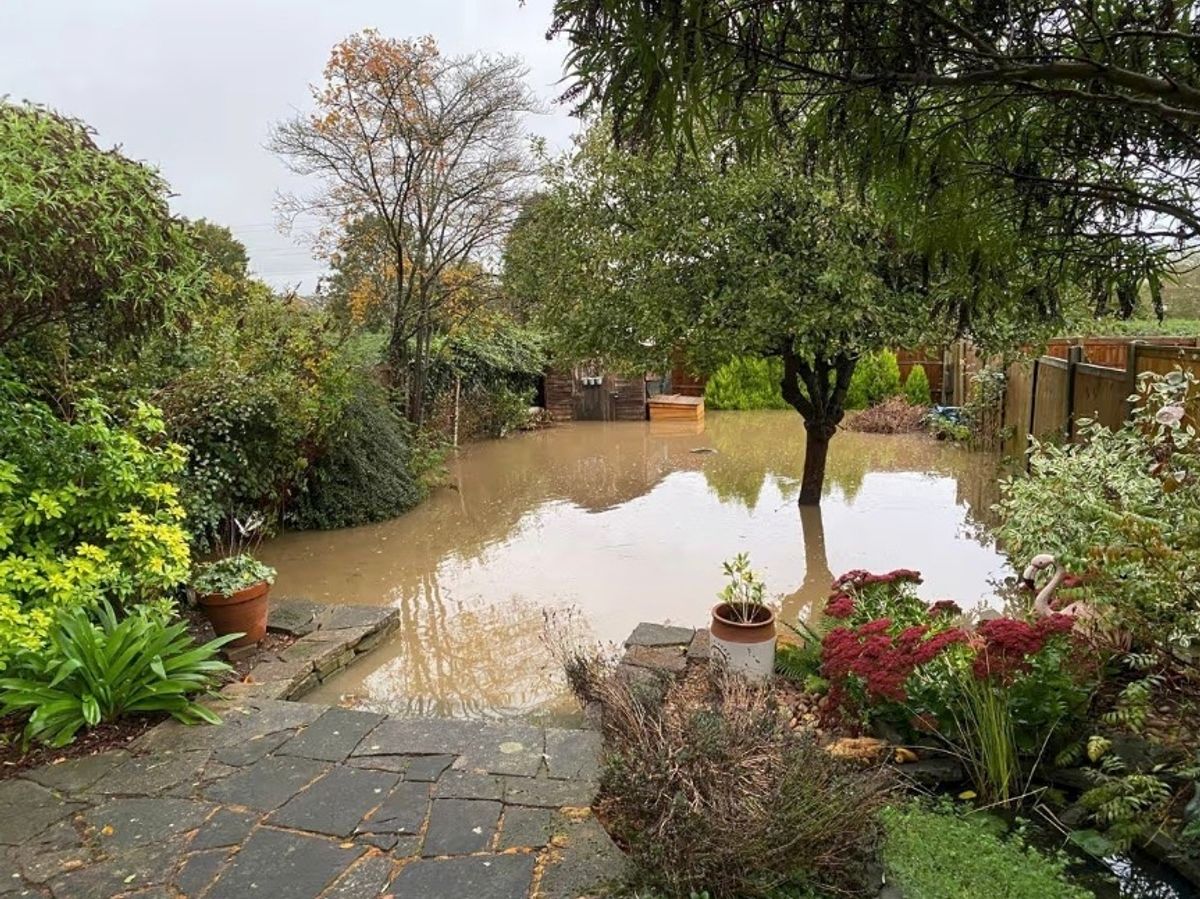A photo of the garden