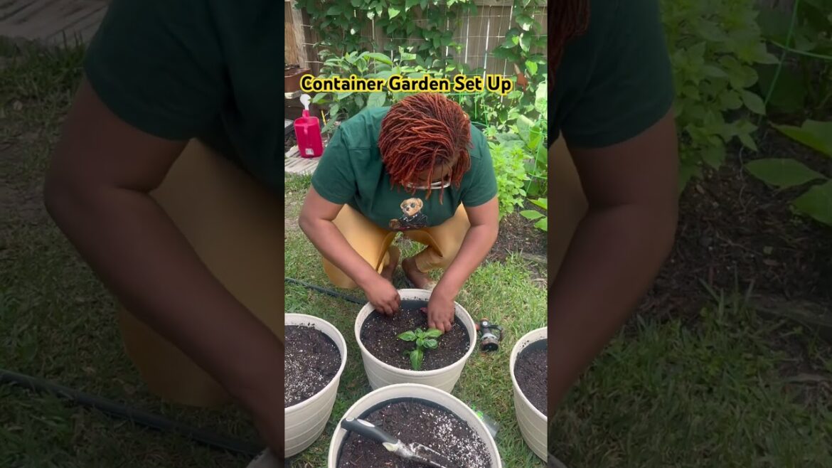 How to Start a Container Garden as a Beginner (The Right Way) #containergardening #diygardening