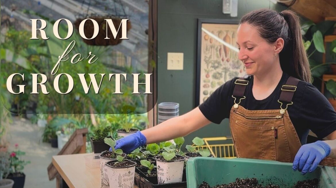 Potting Up Your Plants Ep.6 | Edible Gardening for Beginners Potting Up Your Plants Ep.6 | Edible Gardening for Beginners