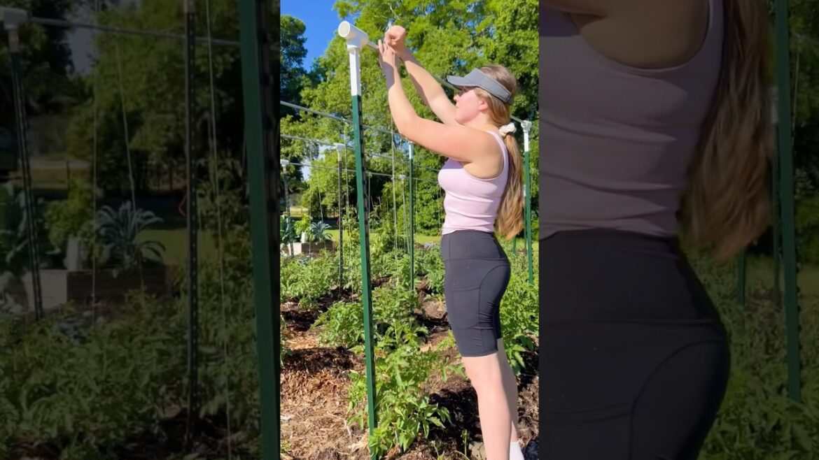EASY TOMATO TRELLIS Perfect for the Spring Garden! #springgarden #gardening #homesteadgarden #garden