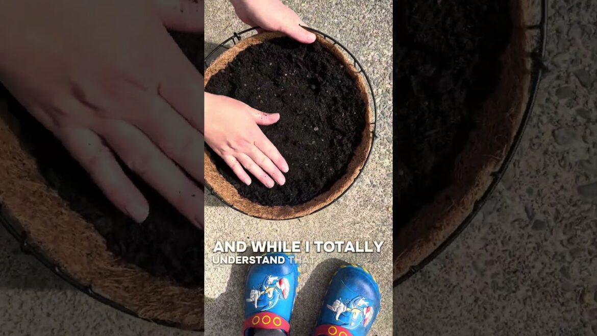 The tiniest things ever!! #pnwhomestead #gardening #garden