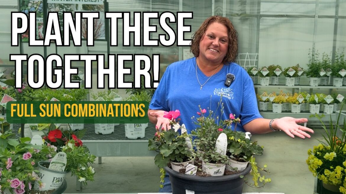 Plant These Together! 5 Full Sun Container Combinations for Summer Color | Garden Crossings Plant These Together! 5 Full Sun Container Combinations for Summer Color | Garden Crossings