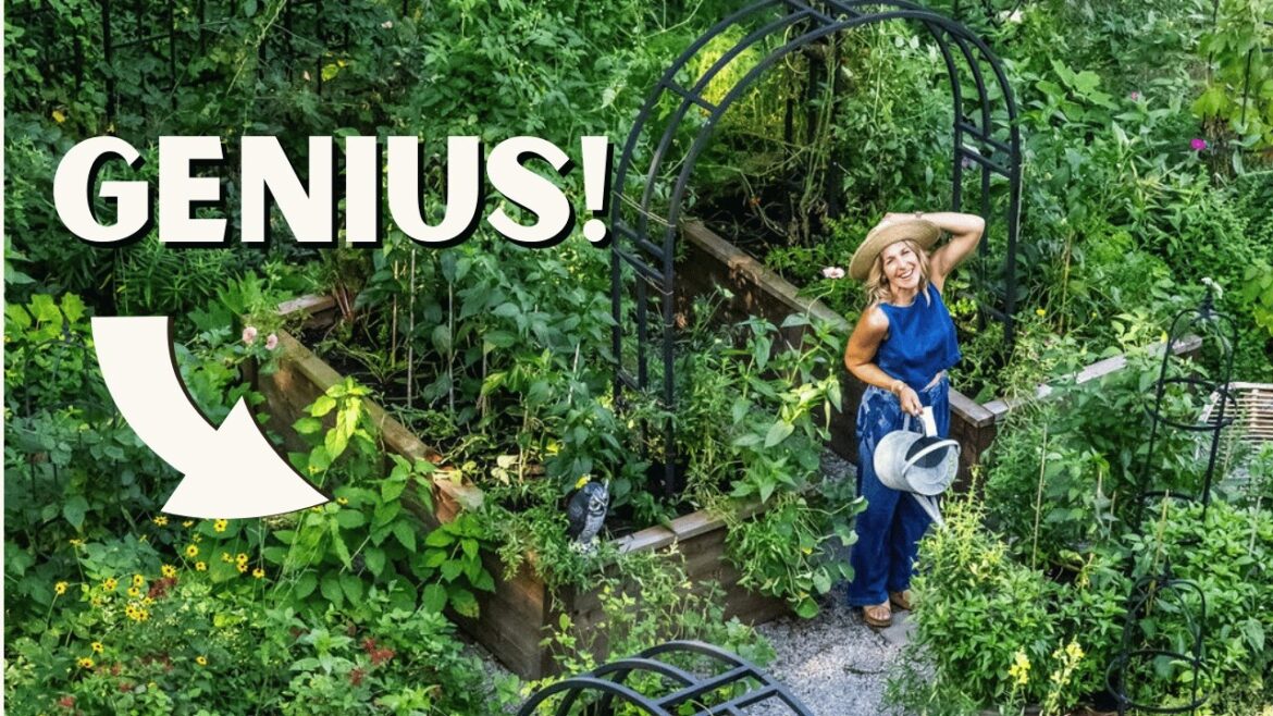 5 Raised Bed Garden Hacks That You Never Knew 5 Raised Bed Garden Hacks That You Never Knew