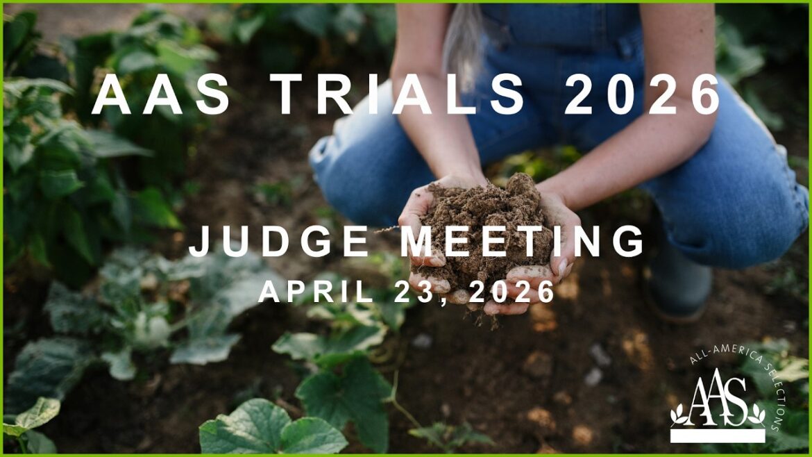 AAS Judges meeting April 2026