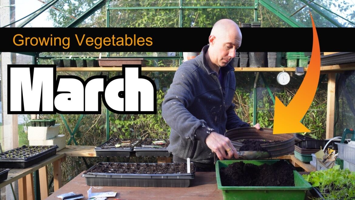 Vegetable Seed Sowing in March | Practical Gardening Tips for Home and Allotment Vegetable Seed Sowing in March | Practical Gardening Tips for Home and Allotment