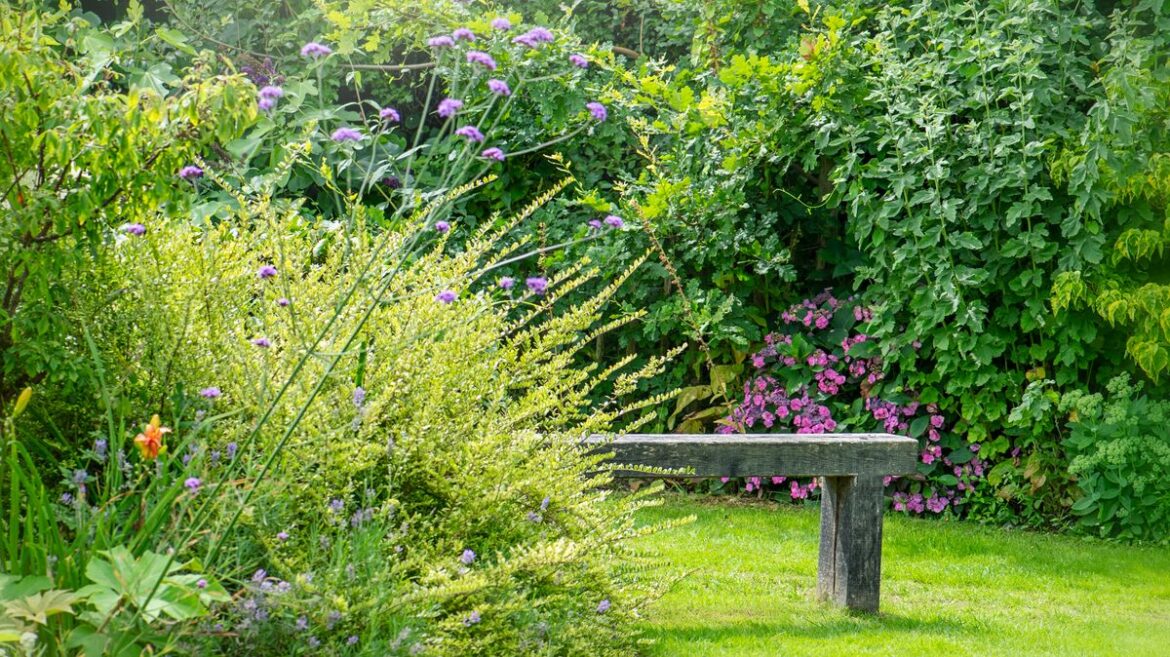 Britain’s tackiest garden features named – and gnomes don’t even make the top three Daily Record