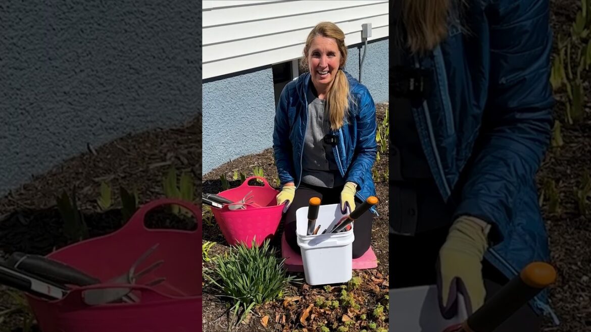 STOP Wasting Money on Garden Tools: Gardening Tools I Can't Live Without!