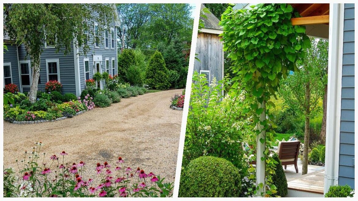 75 Mid-sized Gravel Landscaping Design Ideas You’ll Love 🔴 75 Mid-sized Gravel Landscaping Design Ideas You'll Love 🔴
