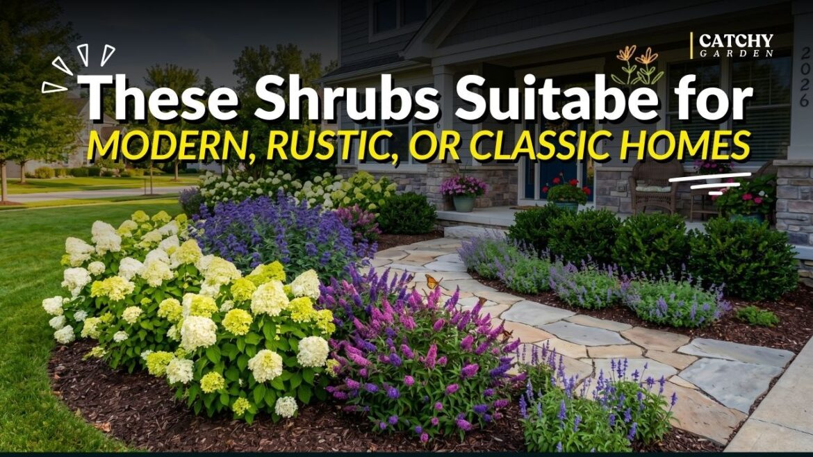 Top 7 Low-Maintenance Shrubs for Modern, Rustic, or Classic Homes 🌿🌸💖 Top 7 Low-Maintenance Shrubs for Modern, Rustic, or Classic Homes 🌿🌸💖