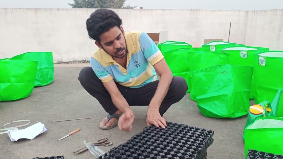 Terrace Gardening Ki Shuruaat 🌱 Grow Bags & Gardening Products Unboxing Terrace Gardening Ki Shuruaat 🌱 Grow Bags & Gardening Products Unboxing