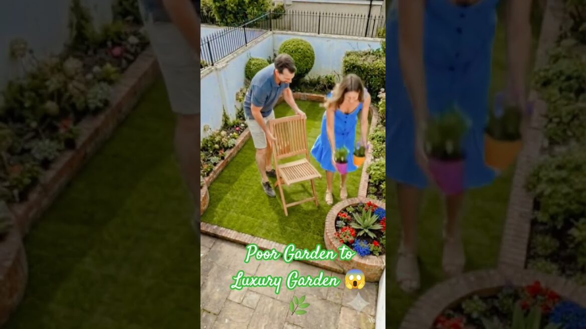 Old Backyard to Paradise 🔥🌿#garden #beforeafter #viralshorts #luxurygarden  #trending