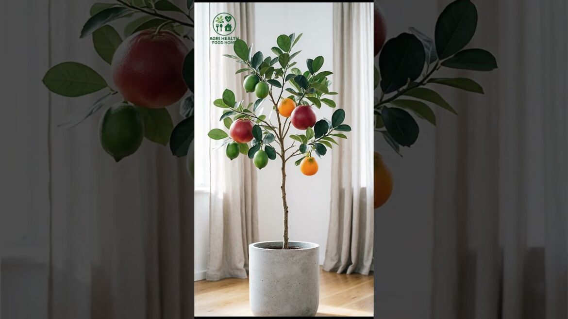Premium Fruit Tree Decor Ideas | Home, Garden, and Lifestyle Inspiration