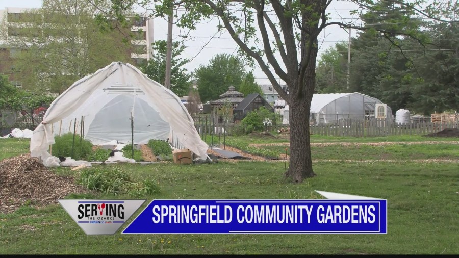 Serving The Ozarks: Springfield Community Gardens Yahoo news home