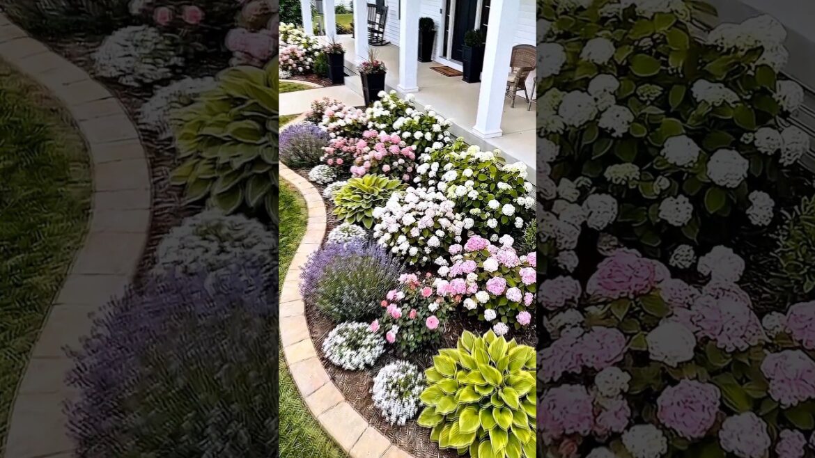 Front Yard Transformation — Plain Lawn to Beautiful Flower Garden Bed #shorts #timelapse Front Yard Transformation — Plain Lawn to Beautiful Flower Garden Bed #shorts #timelapse