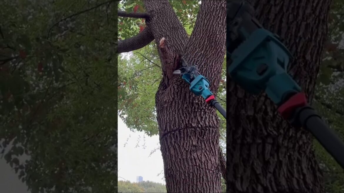 JOVANT® Lightweight Pole chinsaw, No Cord, No Gas. https://bit.ly/47emVQL