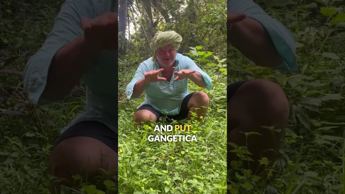 This is a weed story ๐ฟ Some of the tastiest foods at Solitude Farm grow all by themselves โ no This is a weed story ๐ฟ Some of the tastiest foods at Solitude Farm grow all by themselves โ no