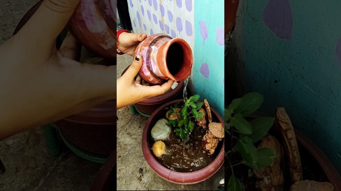 तुलसी मे जल चढ़ाने का सही समय, 🪴🙏#tulsi#bhakti#motivation#gardening#tips#shorts#viral#ytshorts