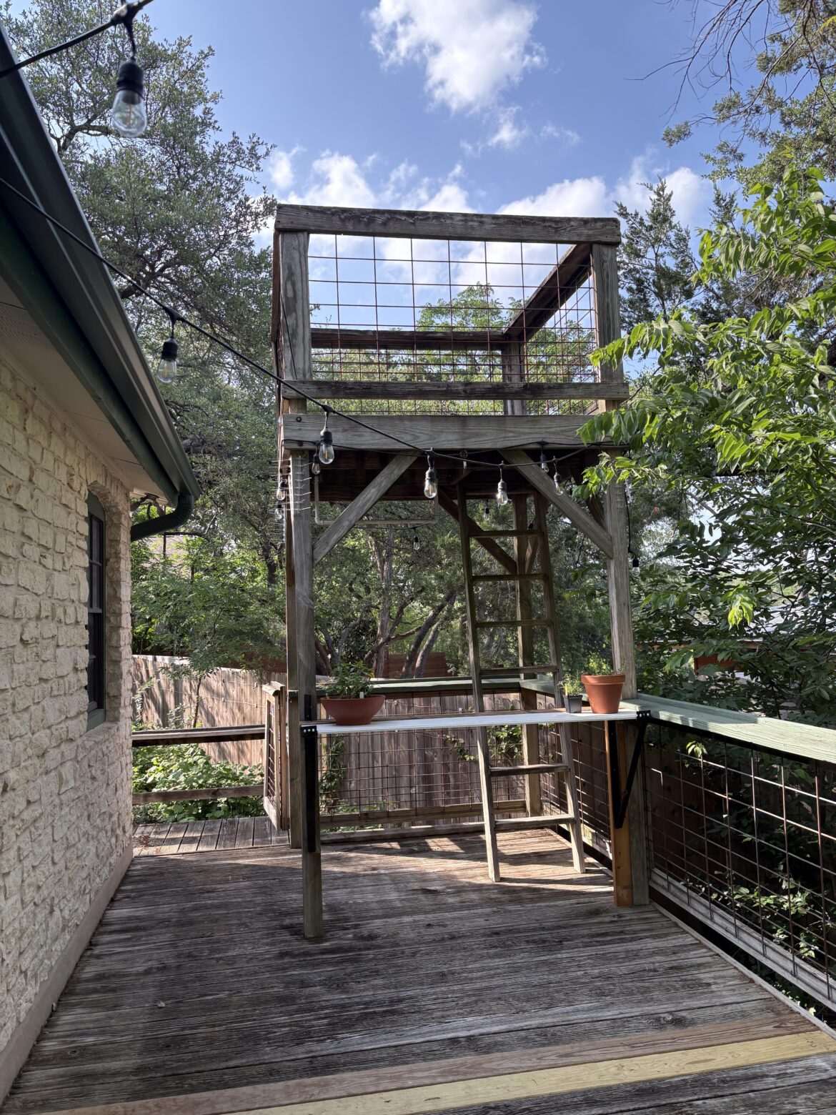Cascading vine recommendations?
