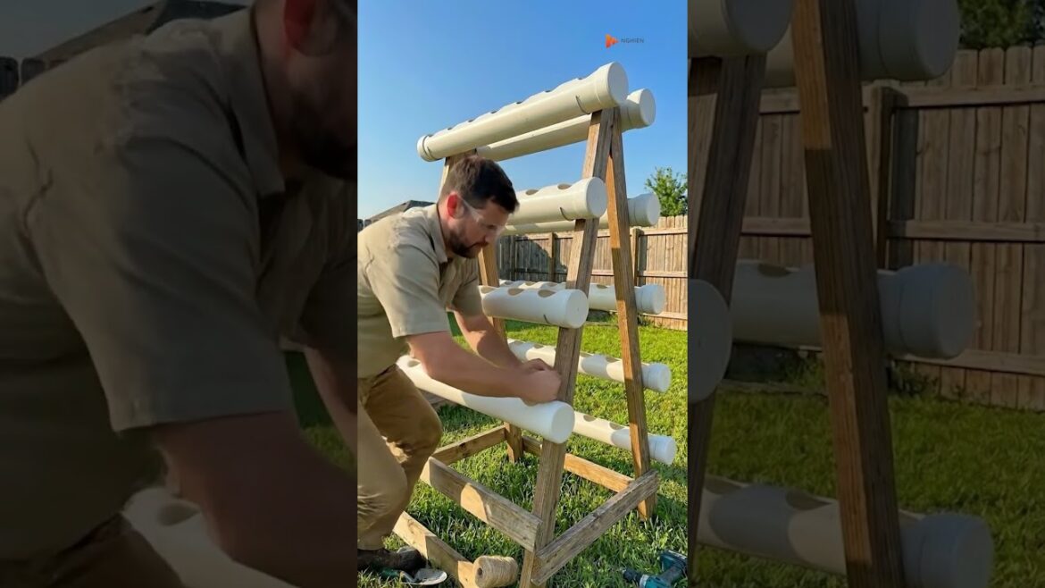 Grow more strawberries with this smart shelving idea #garden #ideasforlife #strawberry