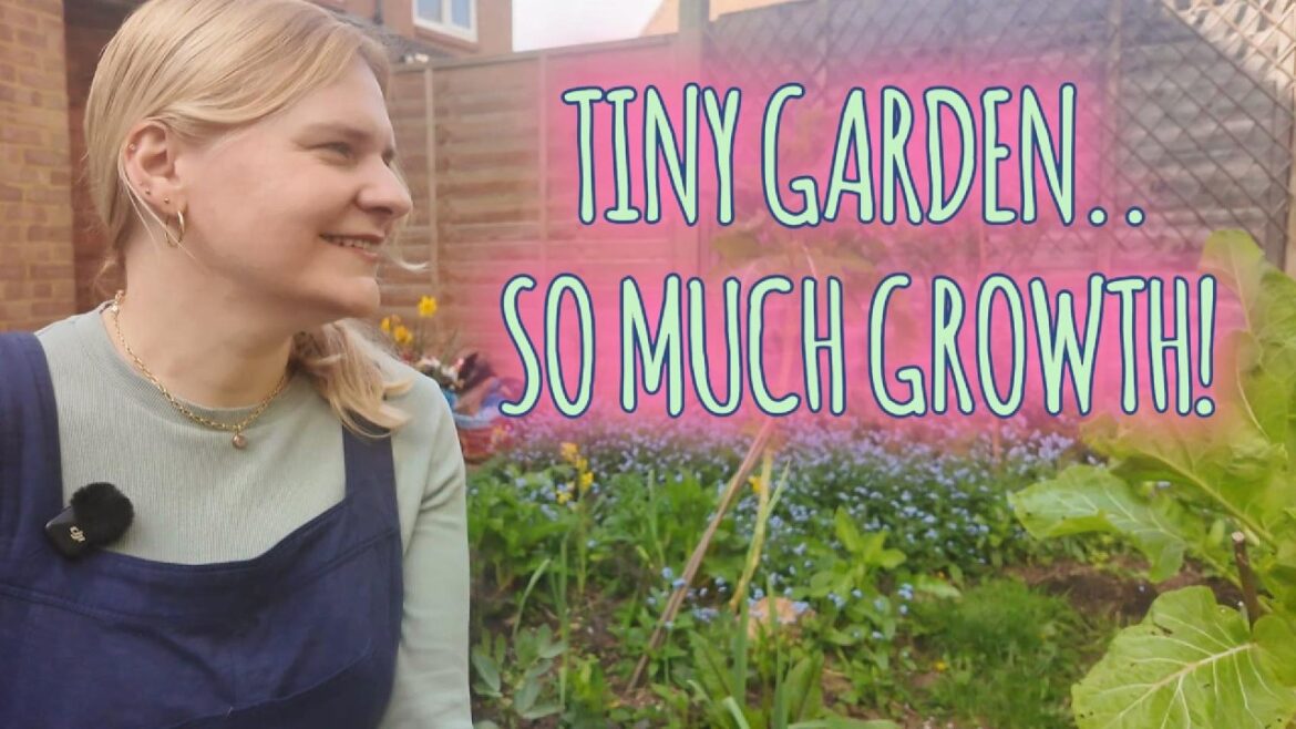 How My Tiny Garden Is Already Packed With Food and Flowers! April Garden Tour🌱🌼 How My Tiny Garden Is Already Packed With Food and Flowers! April Garden Tour🌱🌼