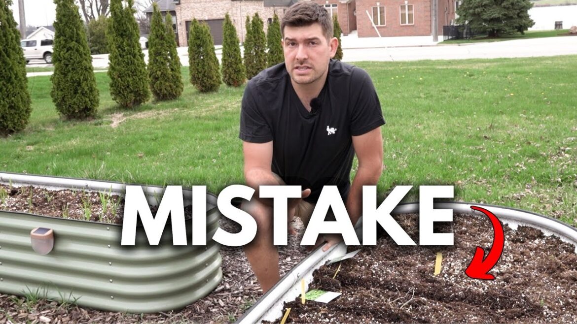 Start Growing MORE! Consider These Succession Planting TIPS!