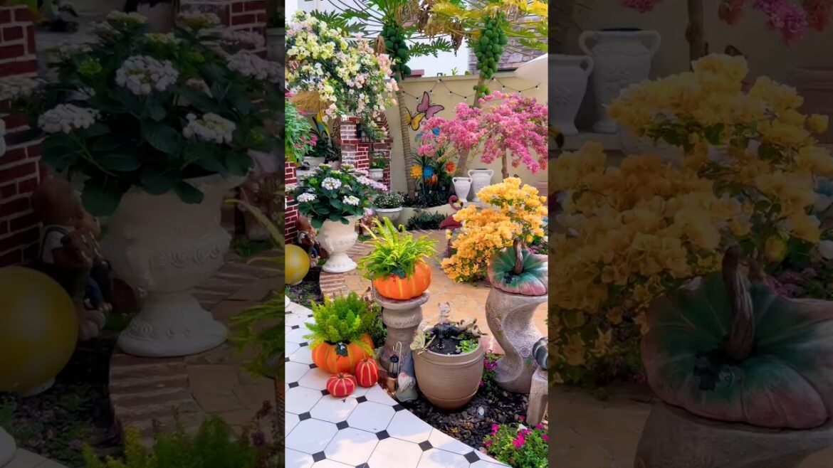 Beautiful Aesthetic Garden Setup 🌸 Small Backyard Makeover Ideas | Dream Garden Decor ✨ Beautiful Aesthetic Garden Setup 🌸 Small Backyard Makeover Ideas | Dream Garden Decor ✨