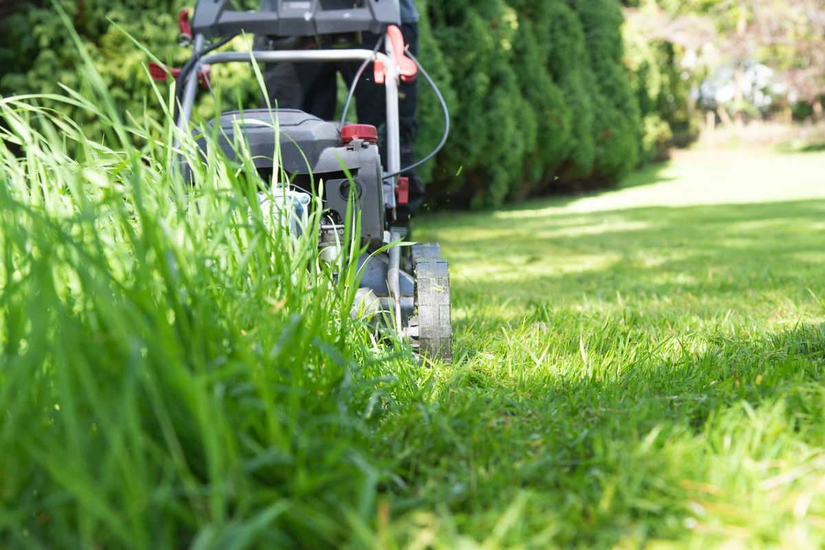 Close view of lawn mower cutting grass with detailed texture of freshly trimmed lawn. Professional gardening and maintenance concept in a green outdoo