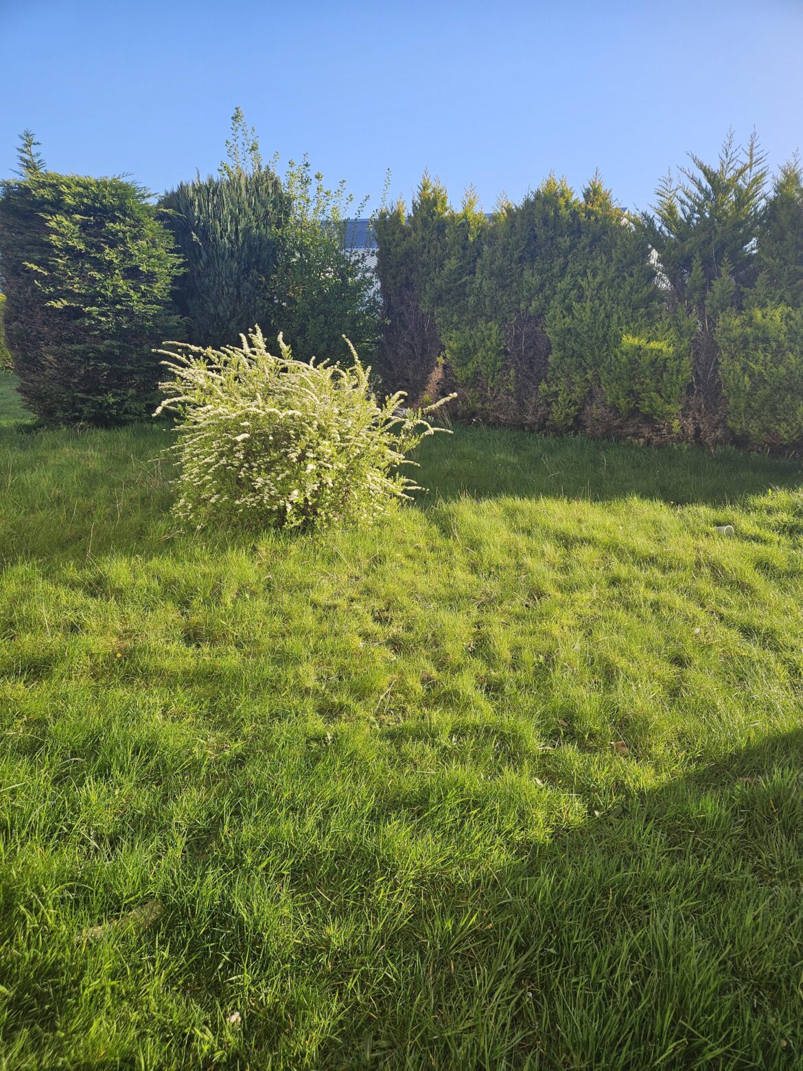 Where to start? (Scotland, near Glasgow, new homeowner) Where to start? (Scotland, near Glasgow, new homeowner)