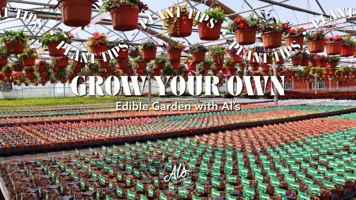 Grow Your Own Edible Garden